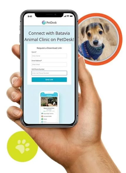 Batavia Animal Clinic PetDesk App