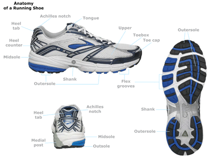 Parts of a Shoe  Running Shoe Anatomy