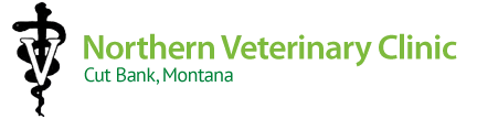 Northern Veterinary Clinic