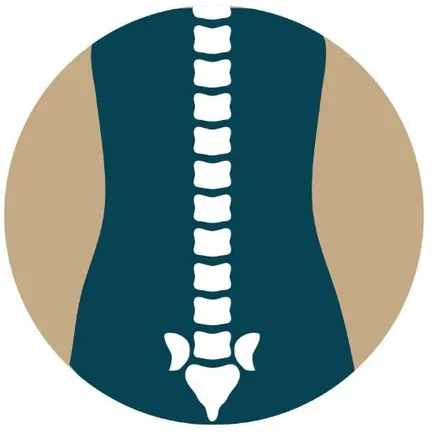 Spine