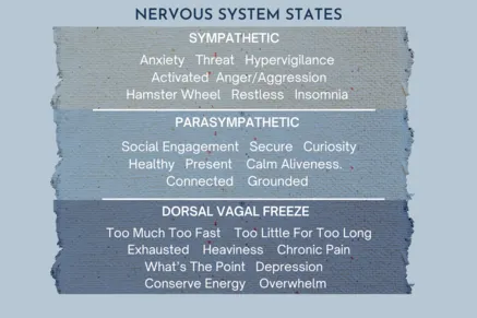 Nervous System States