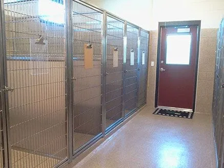 kennel2