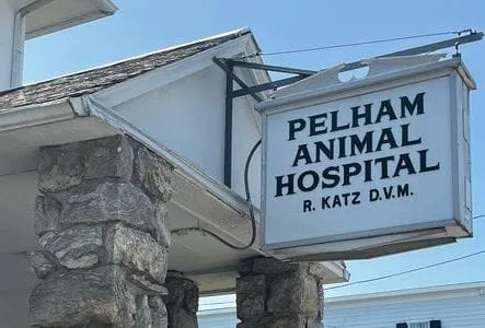 Pelham Animal Hospital