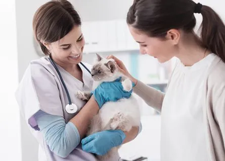 patient receiving treatment