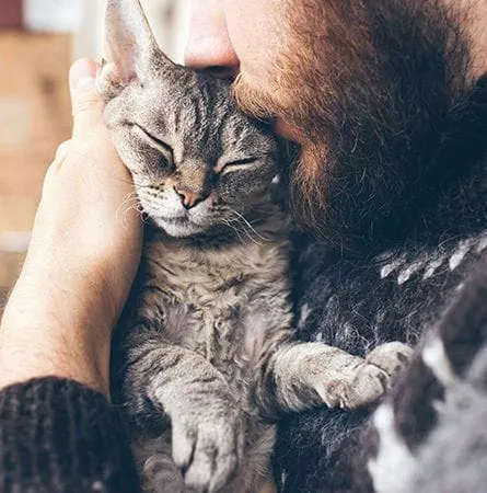 Man & Cat