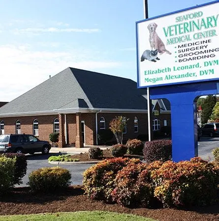 Anderson Veterinary Clinic