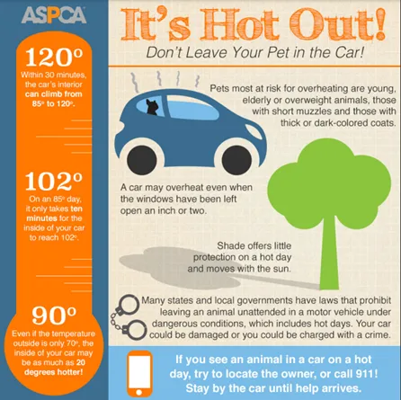 ASPCA Infographic Pets and Car Heat
