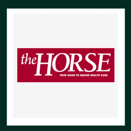 The horse magazine