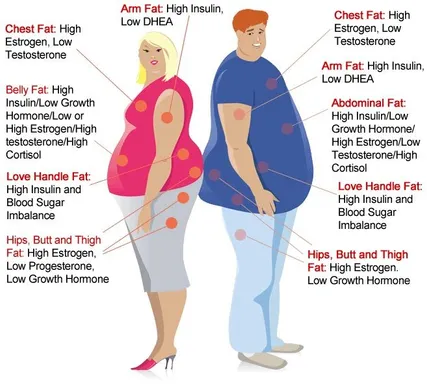 hormones weight