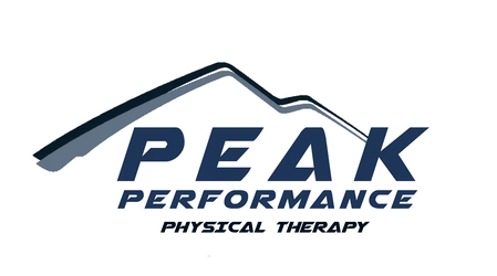 Peak Performance Physical Therapy Logo