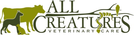 Home Veterinarian In Grayson Ky All Creatures Veterinary Care All Creatures Veterinary Care Veterinarian In Grayson Ky Us