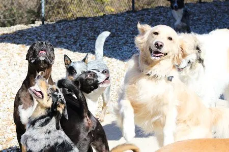 daycare