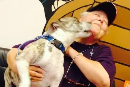 dog licking someones face