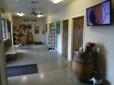 Canine reception area