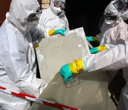 Diseases & Disorders