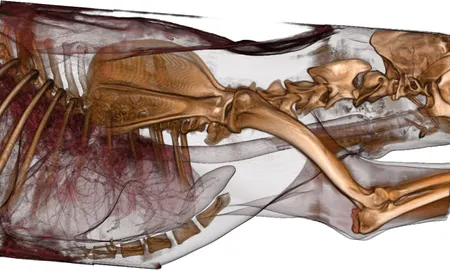 3D CT Reconstruciton