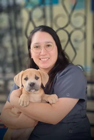 Veterinary Assistant