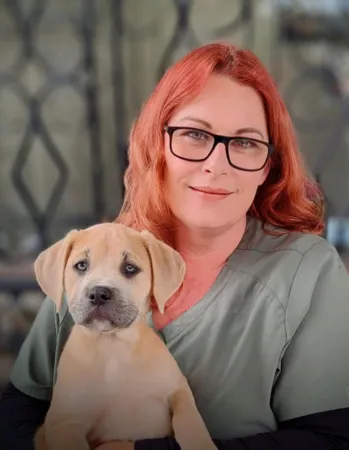 Office Manager : Somer