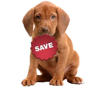 SAVE_puppy.png