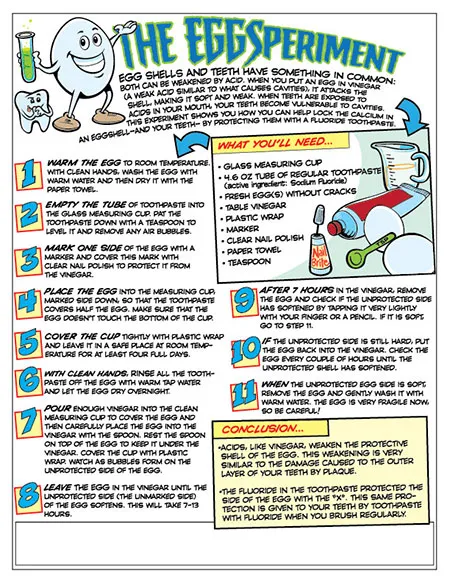 EggSperiment Activity Sheet - Pediatric Dentist in South Miami, FL