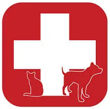 Pet First Aid