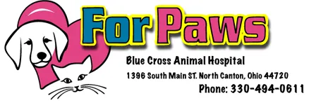 For Paws Blue Cross Animal Hospital