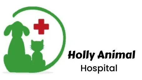 Holly Animal Hospital