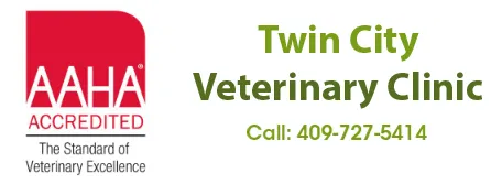 VETERINARY BOARD 2021年4月号( No.24) 6 36 Twin City Veterinary Clinic - Veterinarian in Port Neches