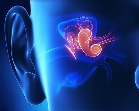 Middle Ear Analysis