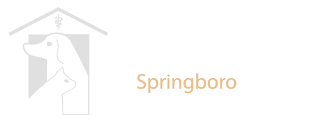 Animal Medical Center of Springboro