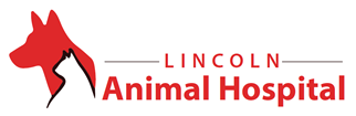 Lincoln Animal Hospital