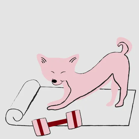 pink dog doing downward dog on yoga mat with pink and red barbell in front