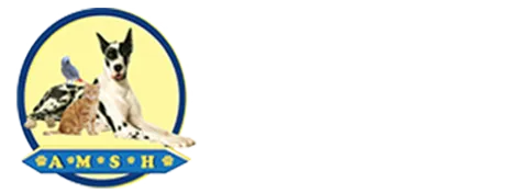 Animal Medical & Surgical Hospital