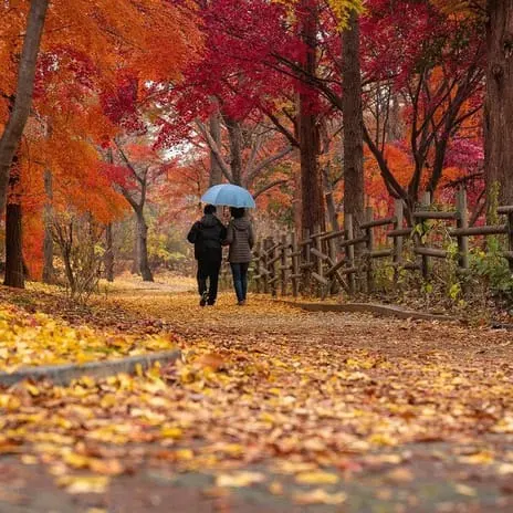 couple on autumn path