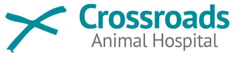 Crossroads Animal Hospital