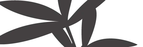 Welcome to Our Practice