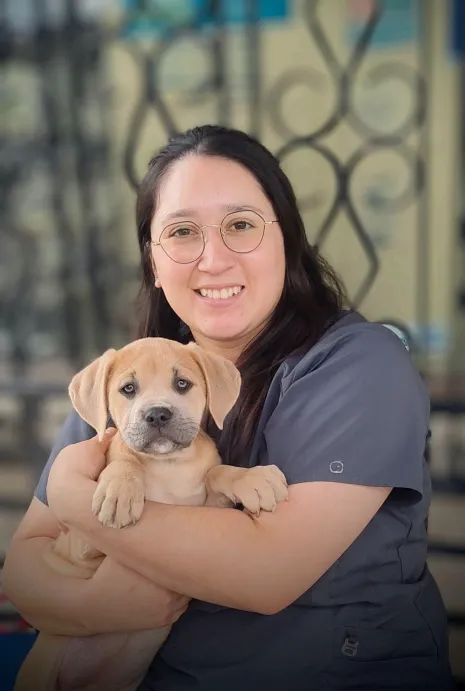 Veterinary Assistant