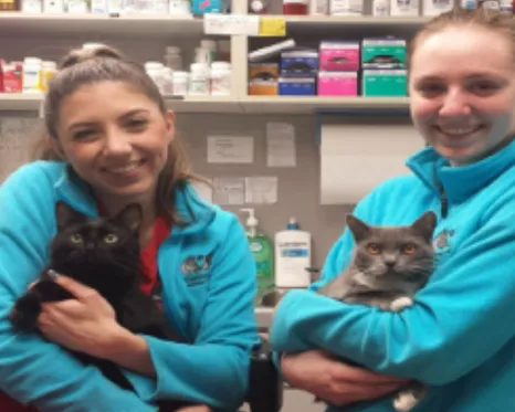 two girls holding two cats