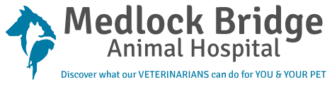 Medlock Bridge Animal Hospital