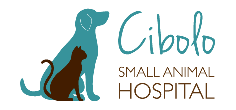 Home | Veterinarian in Cibolo, TX | Cibolo Small Animal Hospital