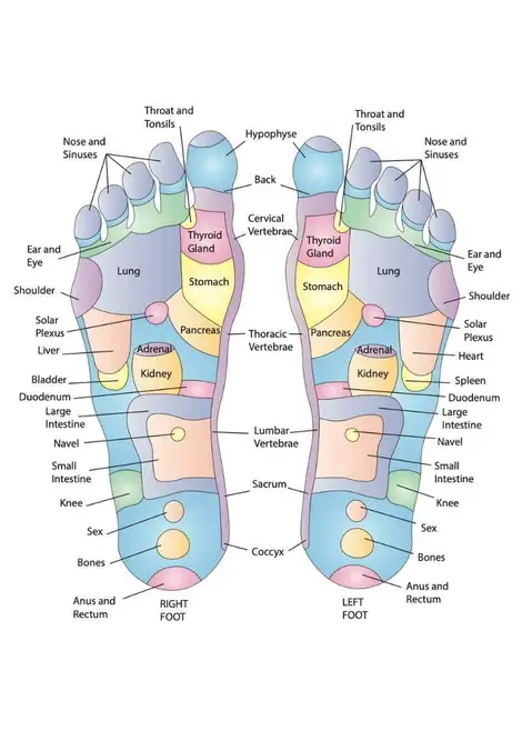 Foot Reflexology