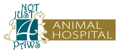 Home - Inland Empire Veterinary Imaging: Veterinary Clinic