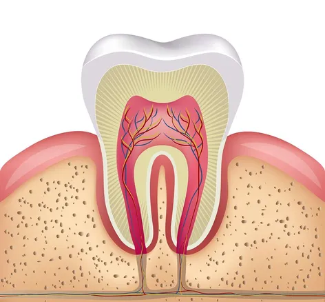 Tooth Colored Dental Filling North York