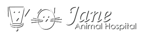Jane Animal Hospital