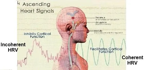 Natick Chiropractor | Natick chiropractic HeartMath | MA |