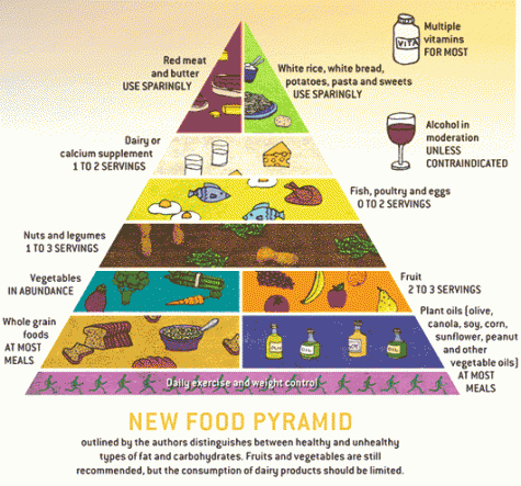 food_pyramid_sciam.gif
