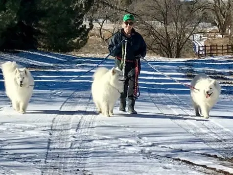 Nancy Kopp with Dogs