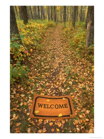 542680_Welcome_Mat_on_Forest_Trail.jpg