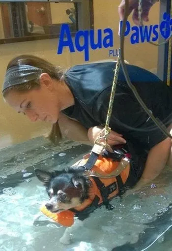 Underwater treadmill for Dogs in Bethlehem_Arriba