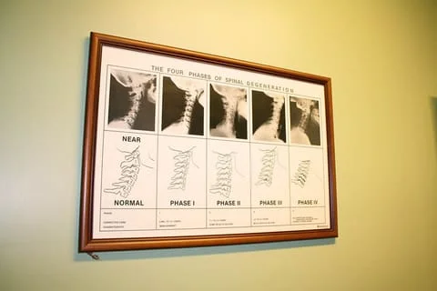 Learn about your spine